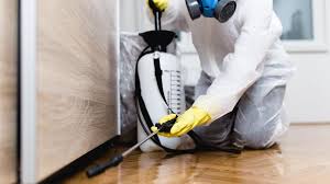 Real Estate Pest Inspections in Edenton, NC